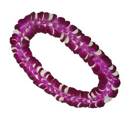 Lei - Centipede Bombay from Boulevard Florist Wholesale Market